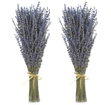 Dried Lavender 2 Bunches 100% Fresh Natural Purple Bouquet Flowers for Bathro... Dried Flower
