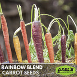 Rainbow Carrot Heirloom Non-GMO for Planting Vegetable Garden Outdoors Garden Plants