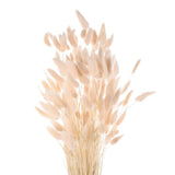 120pcs Natural Bunny Tails Dried Flowers 24" Mini Pampas Grass, Light Pink Pampas Grass