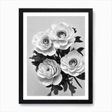 Ranunculus B&W Pencil 2 Flower Art  Framed Wall Art Poster Canvas Print Picture Ranunculus