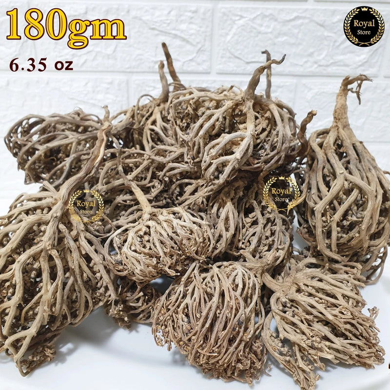 180g Flower Of Maryam 6.35oz Chaste Tree Herbs Palm Of Mary  ____ __ ____ Flowering Plants