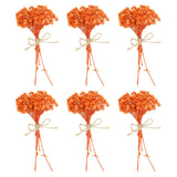 6 Pcs Mini Dried Flower Bouquet Baby's Breath Boho DIY Gift Orange Dried Flower