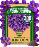 Aubrieta Rock Cress Purple, Flowering Ground Cover Seed Pack, Non GMO Perennial Flowering Plants