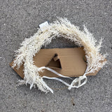 Ring Pampas Grass Botanical Wreath 22 inch - Threshold - New Retail $30.00 Pampas Grass