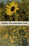 Kansas, The Sunflower State KS - Chrome dual view Banner Postcard - State Flower Sunflower