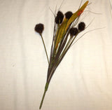 Dried Flower Seed Pods 6 Stems DIY Crafts Fall Harvest Brown Artificial Dried Flower