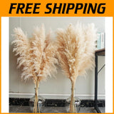 Boho Pampas Grass Decor Tall - 10 Stems for Parties & Events Pampas Grass