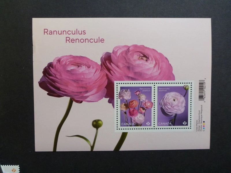 CANADA 2023 Flowers - Ranunculus Renoncule 2 Stamp Mini Sheet Mint Stamps Ranunculus