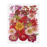 40 Pcs Dried Pressed Flower Leaves Bulk for Resin, Red Colors Dried Flower
