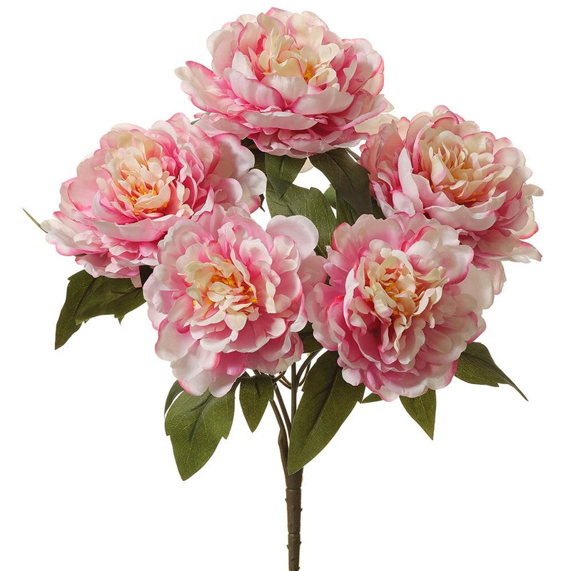 Artificial pink peony bush with five flowers and green leaves on a stem