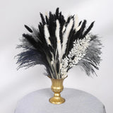 102PCS Black Pampas Grass Decor, Grey White Natural Dried Pampas Grass Bulk, ... Pampas Grass