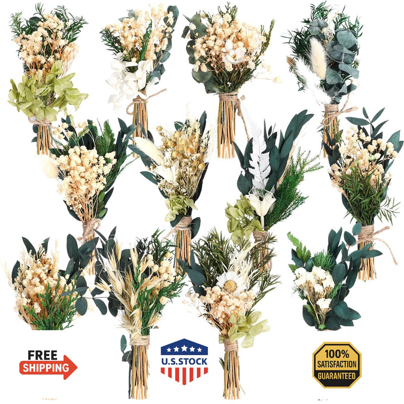 12-pack mini boho dried flower bouquets with cream blooms and green eucalyptus sprigs