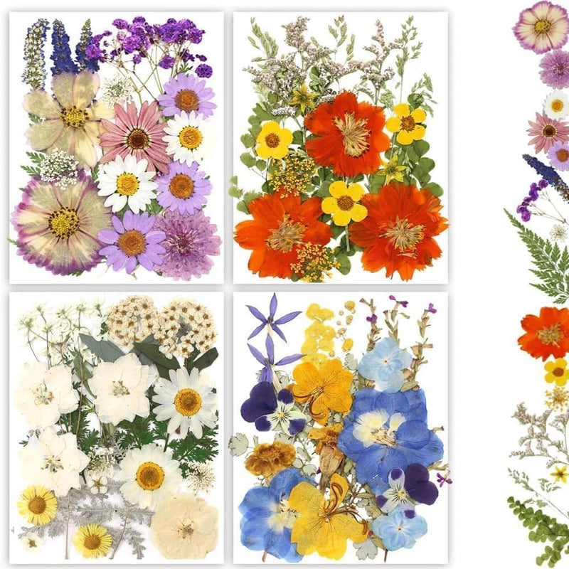 Dried Pressed Flowers, 80Pcs Real Natural Pressed Flowers Bulk for Resin Nail Ar Dried Flower
