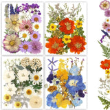 Dried Pressed Flowers, 80Pcs Real Natural Pressed Flowers Bulk for Resin Nail Ar Dried Flower
