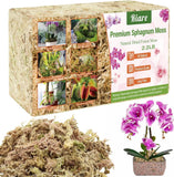 Natural long fiber sphagnum moss, loose pile and packaged block for orchids