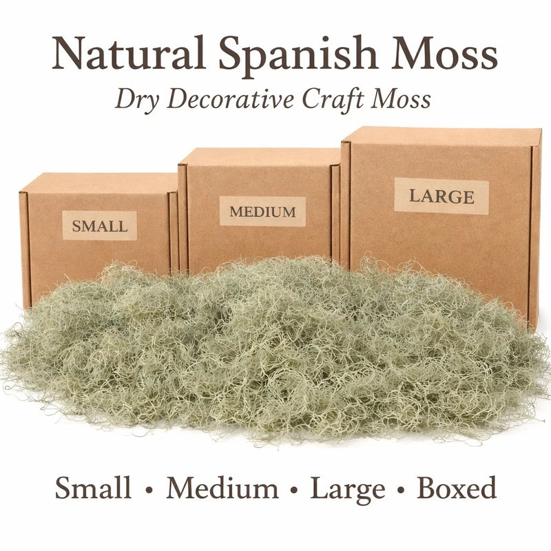 Natural Spanish Moss Ð Decorative Craft Moss for Planters, Terrariums & Wreaths Green Plant