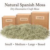Natural Spanish Moss Ð Decorative Craft Moss for Planters, Terrariums & Wreaths Green Plant