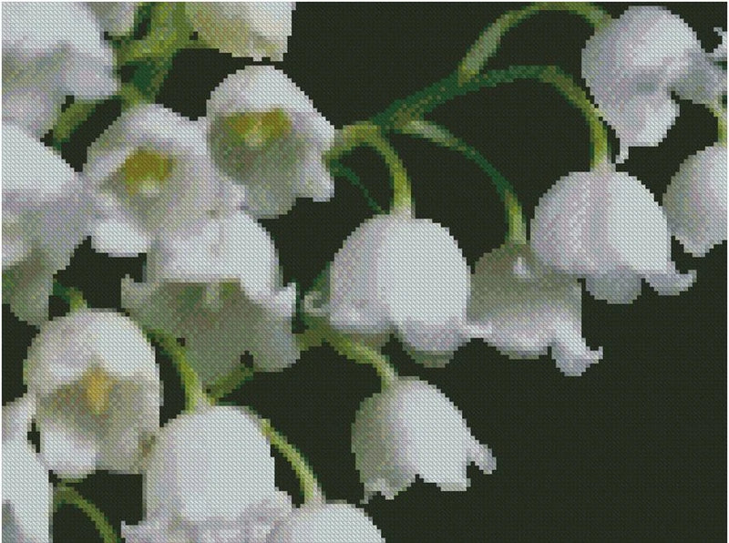 Lily of the Valley Flower Counted Cross Stitch Chart No.20-119 Lily