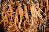 15 Asian KOREAN GINSENG Panax Shade Chinese Herb Seeds Flowering Plants