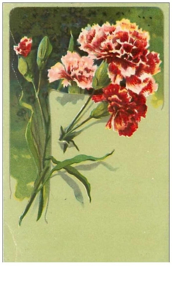 Carnation flower wall art print with red and pink blooms and green leaves