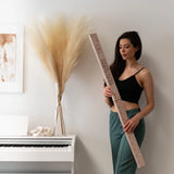 5 Stems of Extra Large Silk Faux Pampas Grass (43Ó/110cm-Beige) Pampas Grass