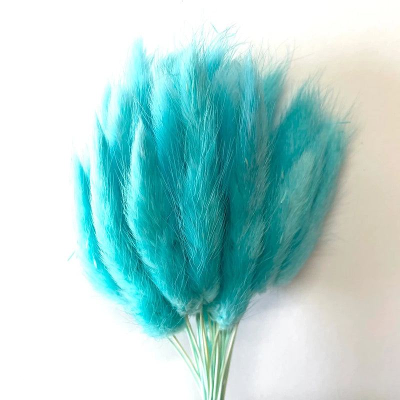 Natural Dried Rabbit Tail Grass Flower Stem Bunch - Aqua Blue Dried Flower