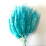 Natural Dried Rabbit Tail Grass Flower Stem Bunch - Aqua Blue Dried Flower