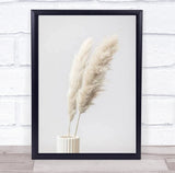 Pampas Grass Grey 11 Botanical Studio Wall Art Print Pampas Grass