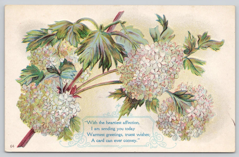 Postcard Warmest Greetings Heartiest Affection White Hydrangea Floral Art Flower Hydrangea