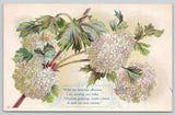 Postcard Warmest Greetings Heartiest Affection White Hydrangea Floral Art Flower Hydrangea