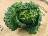 500 SAVOY CABBAGE  SEEDS NON- GMO FRESH FOR GARDENS Garden Plants