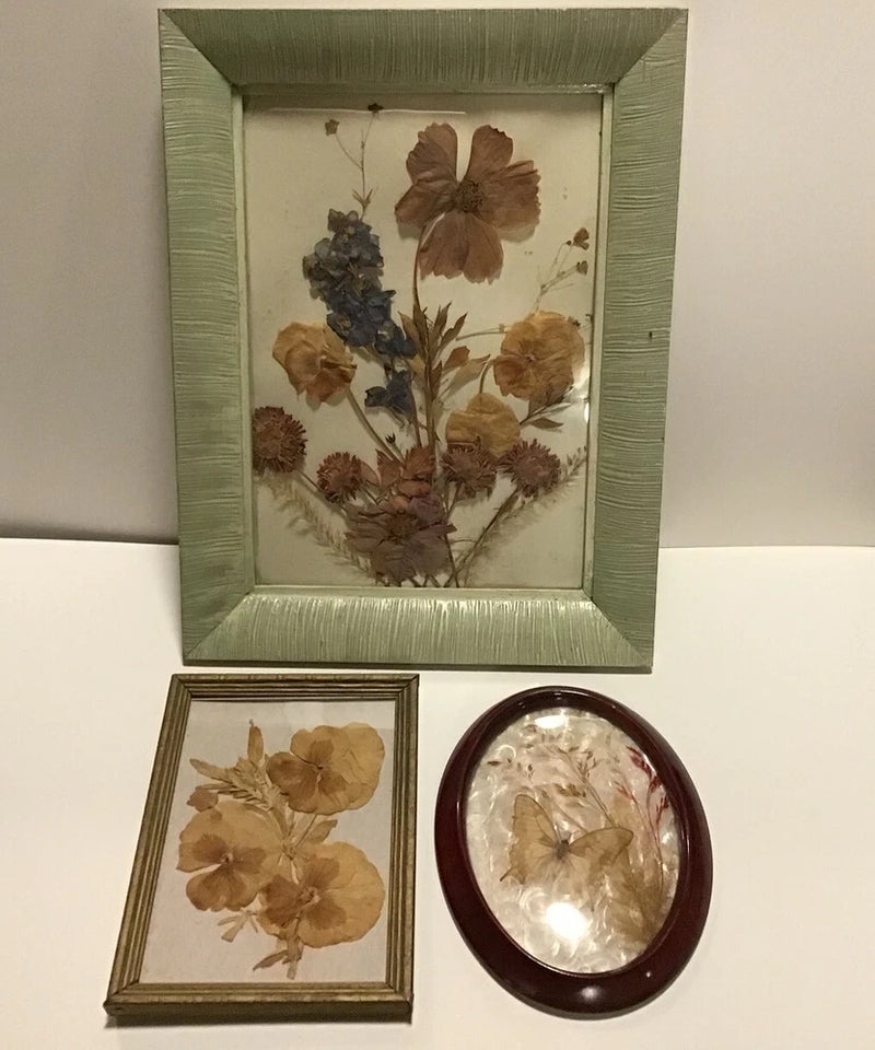 Set of 3 framed pressed dried flower and butterfly pictures: green, square, and oval frames