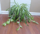 2 Bunches Artificial Plant Chlorophytum Vine Bush Spider Hanging Home Decor Green Plant