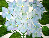 PAINTING WATERCOLOR HYDRANGEA FLOWER BLUE PURPLE 11X14 & DOUBLE WHITE MAT 16X20 Hydrangea