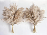 Pampas Grass Decor, Natural Dry Pampas Grass Small, Short Pampass Bulk for Farmh Pampas Grass