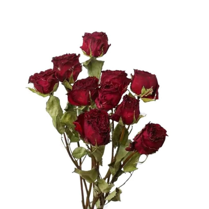 Natural Dried Flowers Bouquet 10 Pcs Red Dried Roses Bouquet for Wedding Deco... Dried Flower