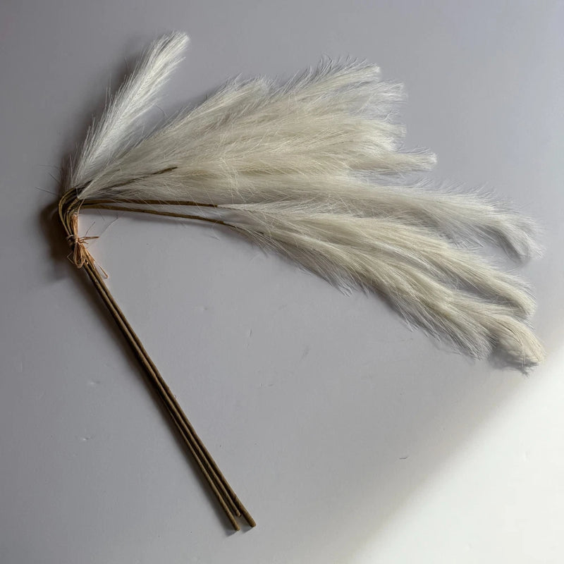 CRATE & BARREL Pampas Grass Bunch - Cream Faux Decorative Home Decor Pampas Grass