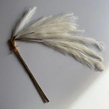 CRATE & BARREL Pampas Grass Bunch - Cream Faux Decorative Home Decor Pampas Grass