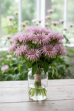 2 Live Bee Balm Plants Lavender Monarda Bare Root Pollinator Garden Hummingbirds Garden Plants