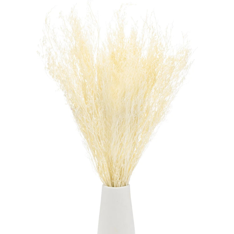 Dried limonium flower bouquet, white airy stems in light wrap