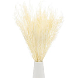 Dried Flowers Bouquet 17" Dry Limonium Flower Bundle [White, 120g] Dried Flower