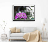 Hydrangea Flower Print, Wall Art, Pink Flower Framed Nature Wall Art, Floral Hydrangea