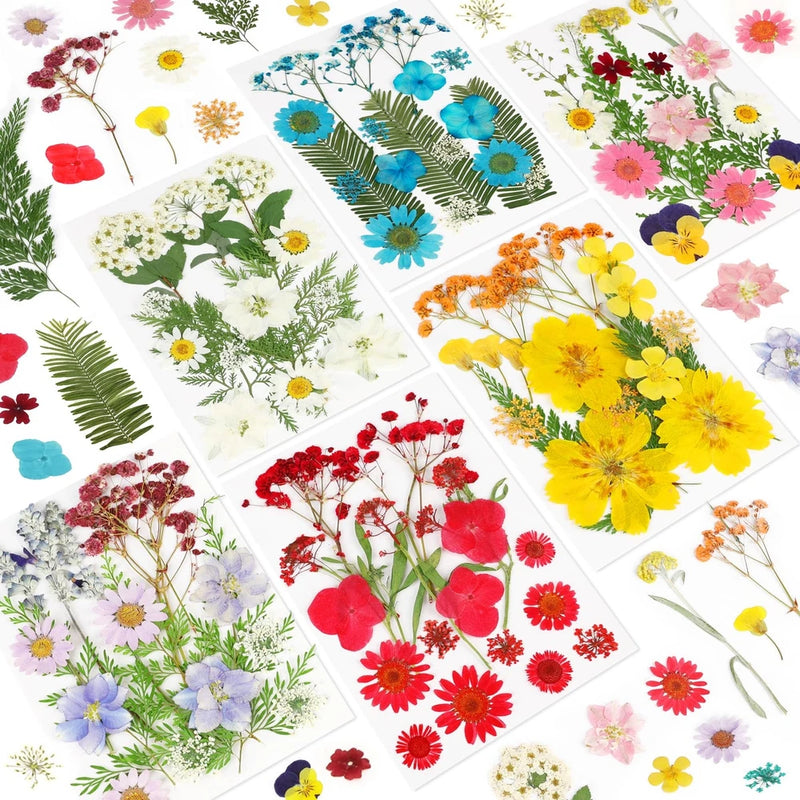 NESCCI Dried Pressed Flowers for Resin, 103pcs Real Various Colors (103 Pcs) Dried Flower
