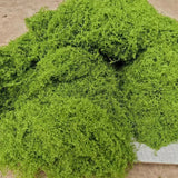 Bright Green Artificial Plant Moss 30/60/90G Plastic Grass Indoor DIY Decoration Green Plant