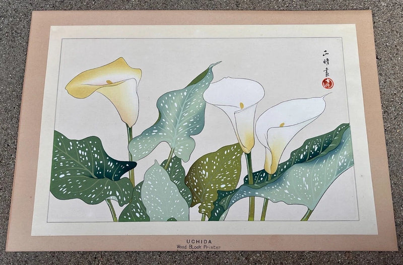Masaharu Aoyama (1893- 1969) "Calla Lily" Color Woodblock Print. 1950's Lily