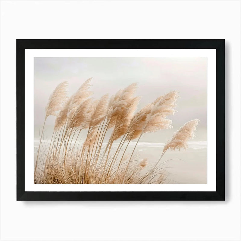 Pampas Grass At The Beach 1 Art Pri Framed Wall Art Poster Canvas Print Picture Pampas Grass