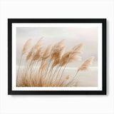 Pampas Grass At The Beach 1 Art Pri Framed Wall Art Poster Canvas Print Picture Pampas Grass