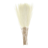 30pcs Dried Faux Pampas Grass 21" Artificial Pampas Grass Decor Beige Pampas Grass
