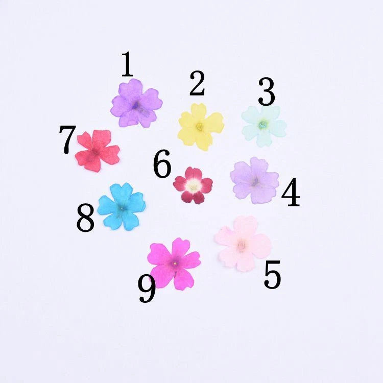 Pressed dried flower set with 9 colorful flat blooms, dyed for crafts and candles