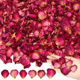 Dried Red Rose Petals - 90G (3.2Oz) for Soap Making, Bath, Spa, Wedding Decor & Dried Flower